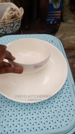 2pcs Breakable Plate/Bowl