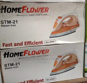 Homeflower Steam Iron STM-21