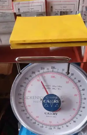 Camry 100kg / 220lbs Manual Scale