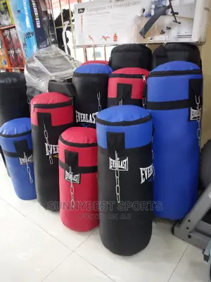 Everlast Punching Bag