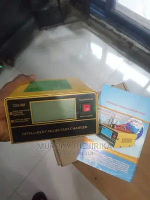 12 to 24 v Smart Battery Charger