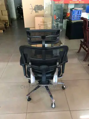 Office Chair (Orthopedic)
