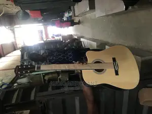 Electric Acoustic Guitar