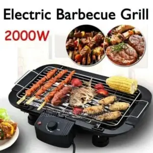 Portable Electric Barbecue Grill - 2000w