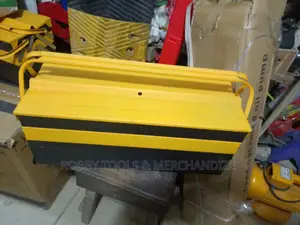 Welloo Professional Empty Tool Box 21"