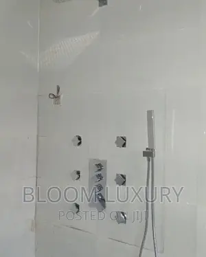 Wall Conduit Shower With Jets