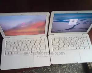Laptop Apple MacBook 2010 4GB Intel Core 2 Duo HDD 256GB