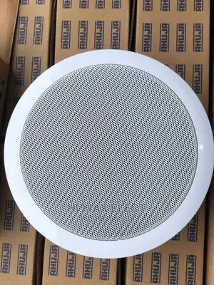 Ahuja Ceiling Mounted Public Address Loud Speaker.
