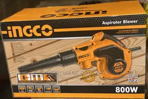 Ingco Aspirator Blower 800w