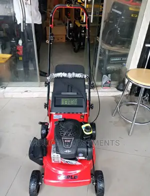 Briggs and Stratton Lawn Mower 750series 7.5hp