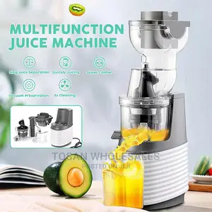 Quality Whole Slow Juicer JE-32