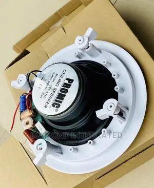30 Watts Crossover POP/Ceiling Speaker