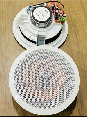 2 in 1 Bluetooth Pop/Ceiling Speaker