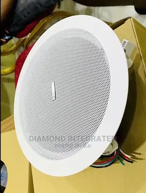 Lucky Tone 30 Watts Ceiling Speaker