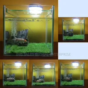 Complete Medium Size Cube Aquarium - 12 By 12 By 12 Inches