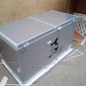 Quality Deep Freezer With Two Doors and Sliding Glass