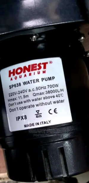 Original Funtian Submersible Pump