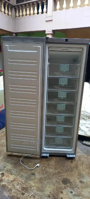 Liebherr Standing Freezer 7 Steps