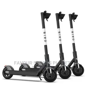 New Adult Electric Scooter Available at Sports Planet