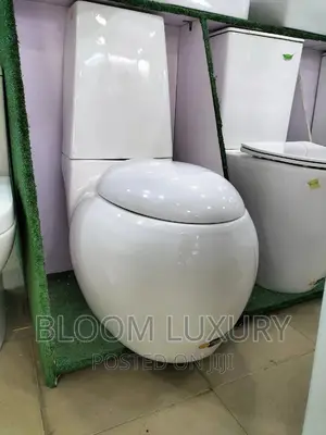 Executive Egg Shape Water Closet