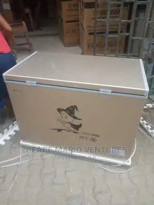 Best Quality Snowsea Deep Freezer 300L With Sliding Glass