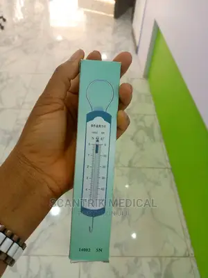 Household Spring Mechanical Hanging Scale