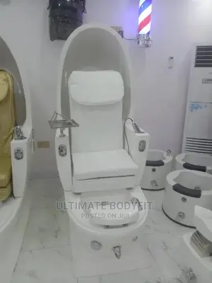Brand New Egg Shape Pedicure Chair