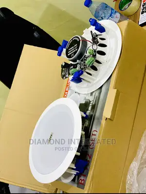 Quality 2 in 1 Bluetooth Ceiling Speaker