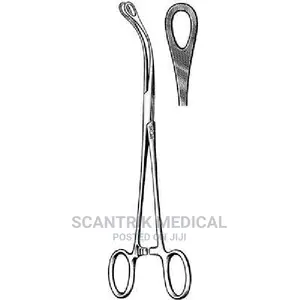 Surgical Holding Veterinary Instruments