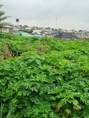 Land for Sale With Register Survey and Agreement