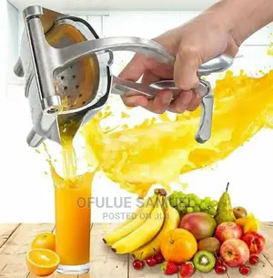 Fruit Press
