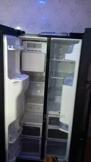 Fridge Technician and Professional