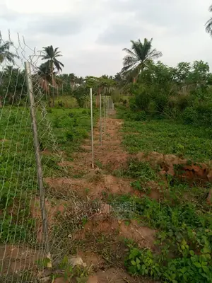 Farm Fencing Systerm