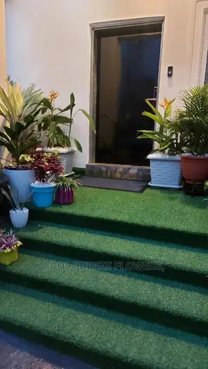 Air Purifying Flowers Plant's
