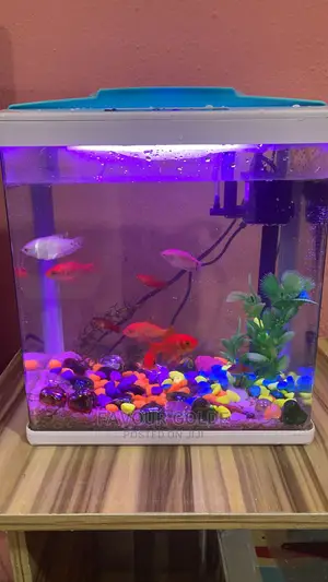Imported Fish Tank