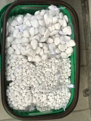 Imported White Stone