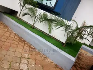 Top Artificial Grass