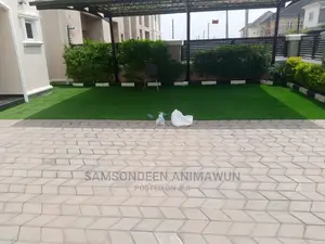 Turkish Grass