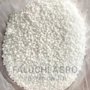 Perlite for Your Planting Needs ( 1 Liter Volume ).