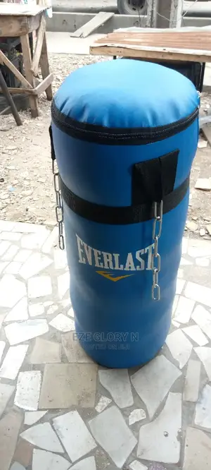 Good Quality Punching Bag