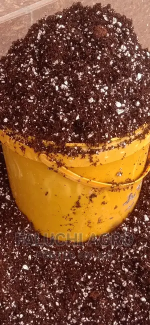 Organic Potting Mix (Potting Soil)- For Your Planting Needs