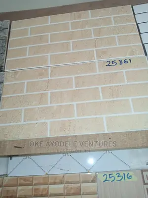 25/50 Wall Tiles (Indoor and Outdoor)