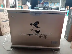 Snowsea Deep Freezer 300litres