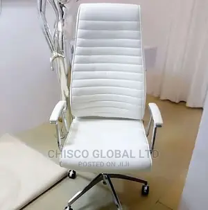 Office Chair (Ergonomic)