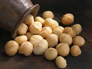 Organic Macadamia Nuts 500g