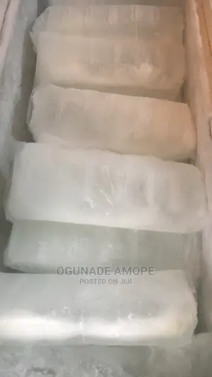 Ice Blocks for Food Storage