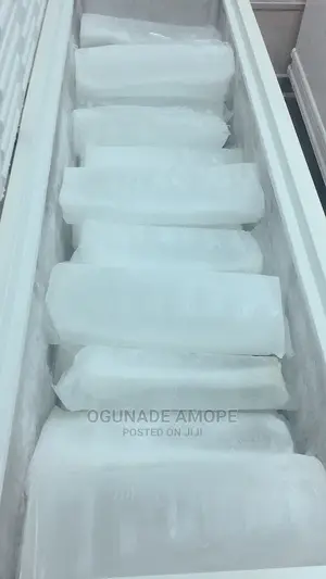 Edible Ice Blocks