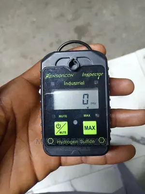 Industrial Hydrogen Sulfide Gas Detector