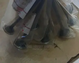 Engine Valve Mitsubishi Set