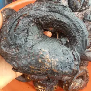 Maiduguri Duno Dry Fish in Cartons